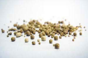 A close-up of small brown bits on a white surface, highlighting the texture and details of yeast extract